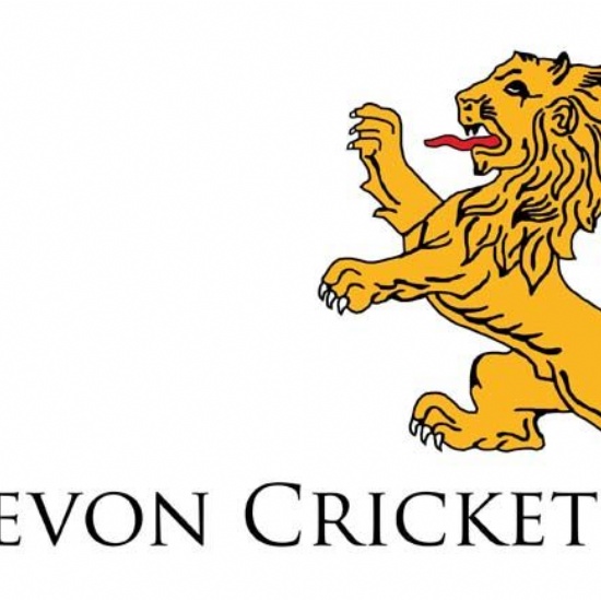 Cricket workshop