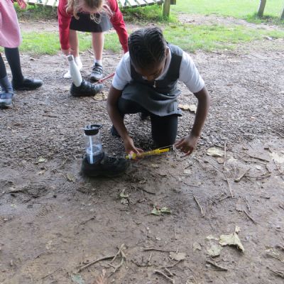 IMG3696
