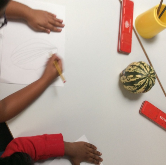 Year 2 Explicit Learning and Rich Play