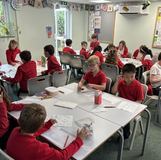 DT project taste testing